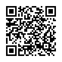 QR code zu  Torberglücke