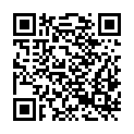 QR code zu Sefinenfall