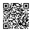 QR code zu Leiterfall