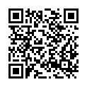 QR code zu Stäuber II