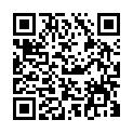 QR code zu Veliki slap