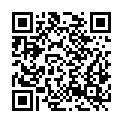 QR code zu Stäuberfall I