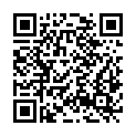 QR code zu Stäuber III