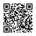 QR code zu  Giessbachfall IX