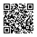 QR code zu  Lepsiusstollen