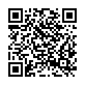 QR code zu Pliksburggrotten