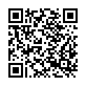QR code zu Plattenloch