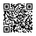 QR code zu  Schindelbodenhöhle