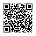 QR code zu  Schloss Wertingen