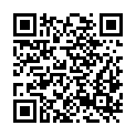 QR code zu  Schlufstein