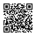 QR code zu Schichtfugenhöhle