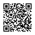 QR code zu Schelmloch