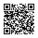 QR code zu  Diebsloch