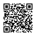 QR code zu Kaminlucke