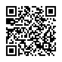 QR code zu  Steinwandkamin