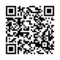 QR code zu  Museumsloch