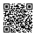 QR code zu  Schloss Höchstädt