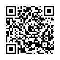 QR code zu Perlmooserlucke II
