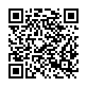 QR code zu  Blindstollen