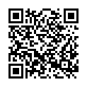 QR code zu Predigtstuhlschacht