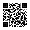 QR code zu Wopfingerhöhle III