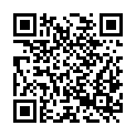 QR code zu  unterer Stollen