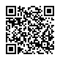 QR code zu Geländspalte I