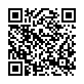 QR code zu Geländspalte III