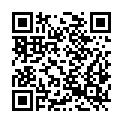 QR code zu  Staubloch