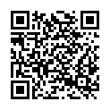 QR code zu  Holzriesschacht