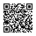 QR code zu Todsburger Schacht