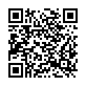 QR code zu  Brinšcica