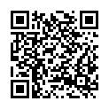 QR code zu  Brückenschacht