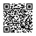 QR code zu Schusterloch