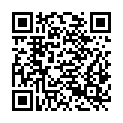 QR code zu Völlerinloch