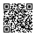 QR code zu Völlerinstollen