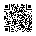 QR code zu  Pontalerschacht