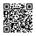 QR code zu  Schnurreloch