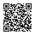 QR code zu Kammschacht