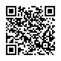 QR code zu Pollerosfenster