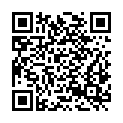 QR code zu Rossgallschacht
