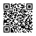 QR code zu Wildemannloch