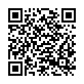QR code zu Zwillingsschacht