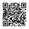 QR code zu Falsches Pfeilerabri