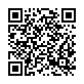 QR code zu Haussteinschacht