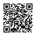 QR code zu  Verstopfter Durchgang