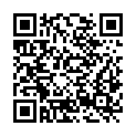 QR code zu  Pemmerltunnel