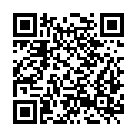 QR code zu Brüchiges Loch
