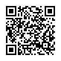 QR code zu  Einstiegsloch