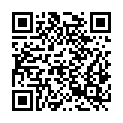 QR code zu Haussteinlucke